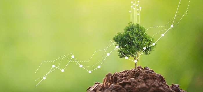 Grupo: Gesti&oacute;n Ambiental Empresarial