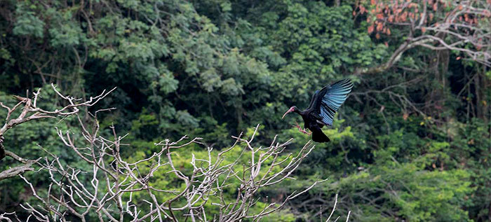 Grupo: Conservaci&oacute;n de Ecosistemas