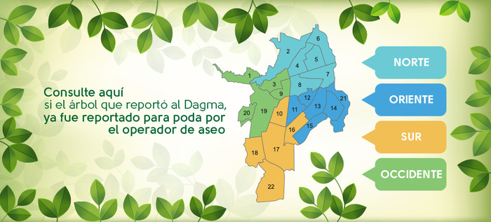 Consulta de &aacute;rboles reportados, ya programados para poda