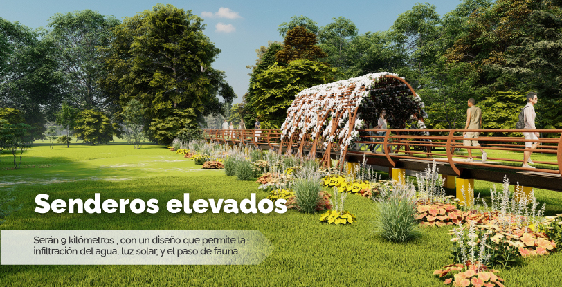 Senderos elevados