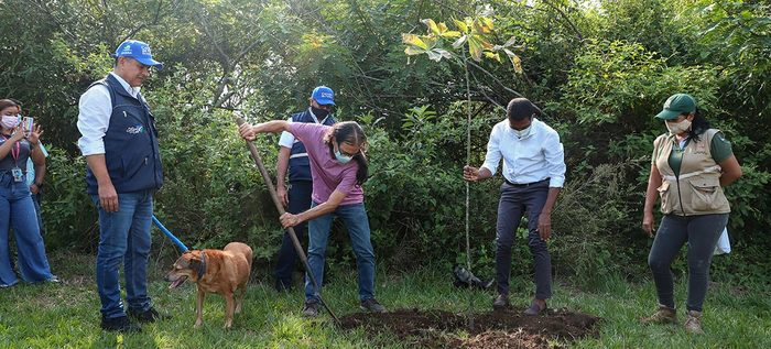 Comienzan los estudios y dise&ntilde;os del Parque Ambiental Coraz&oacute;n de Pance