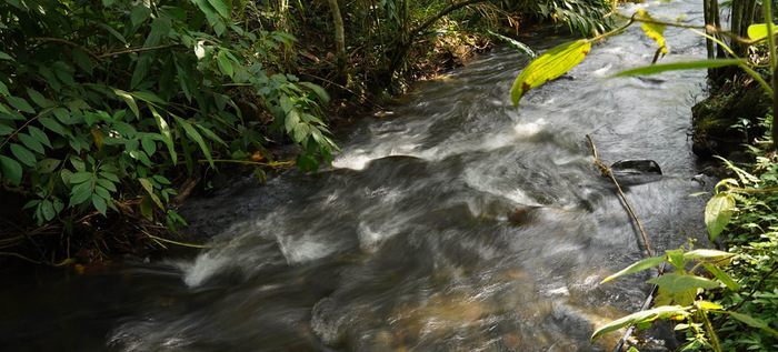 Parque Ambiental Coraz&oacute;n de Pance, respetar&aacute; la din&aacute;mica natural del r&iacute;o