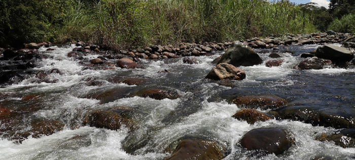 El r&iacute;o Pance y su parque ambiental, grandes aportantes h&iacute;dricos
