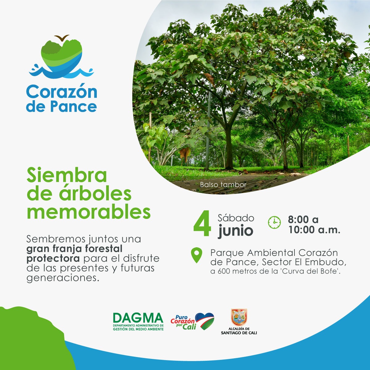 Siembra de árboles memorables en el Corazón de Pance 