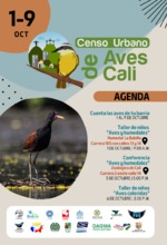 Cali se prepara para contar sus aves residentes y migratorias