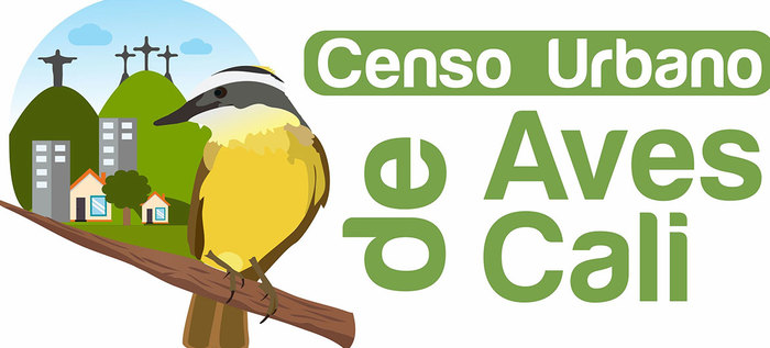 Cali se prepara para contar sus aves residentes y migratorias