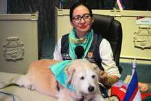 Alcald&iacute;a radic&oacute; proyecto de acuerdo para la creaci&oacute;n de la Unidad de Protecci&oacute;n Animal - Uaepa