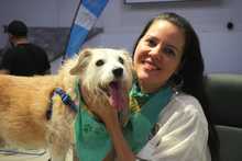 Alcald&iacute;a radic&oacute; proyecto de acuerdo para la creaci&oacute;n de la Unidad de Protecci&oacute;n Animal - Uaepa