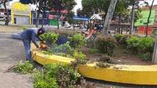 Adopci&oacute;n de zonas verdes en Cali: un programa que da frutos