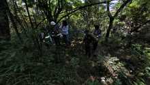Sendero ecol&oacute;gico Morelia reconcilia a Cali con su medio ambiente