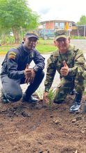 Ej&eacute;rcito y Polic&iacute;a recuperaron punto clandestino en el sur de Cali
