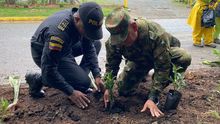 Ej&eacute;rcito y Polic&iacute;a recuperaron punto clandestino en el sur de Cali
