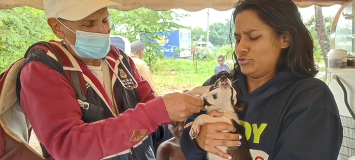 Dagma brind&oacute; atenci&oacute;n veterinaria en zona inundada del jarill&oacute;n del r&iacute;o Cauca