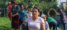 Siembra masiva de &aacute;rboles contra el cambio clim&aacute;tico 