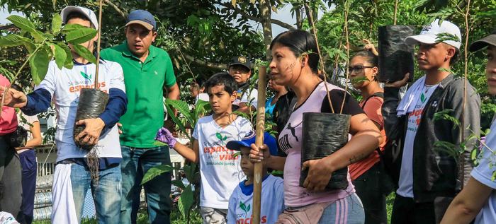 Siembra masiva de &aacute;rboles contra el cambio clim&aacute;tico