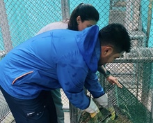 Acciones interinstitucionales para rehabilitaci&oacute;n y liberaci&oacute;n de fauna silvestre