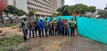 Intervienen &aacute;rboles para que no causen accidentes
