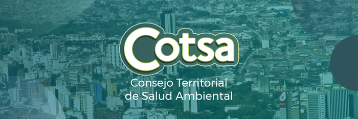 Consejo Territorial de Salud Ambiental