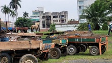 En Cali, caballos y yeguas se liberan de a&ntilde;os de trabajo forzado