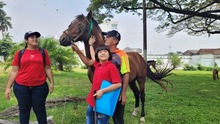 En Cali, caballos y yeguas se liberan de a&ntilde;os de trabajo forzado