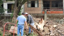 Para 2023, zonas verdes de Escuela Normal Superior Farallones de Cali se proyectan como bosque urbano