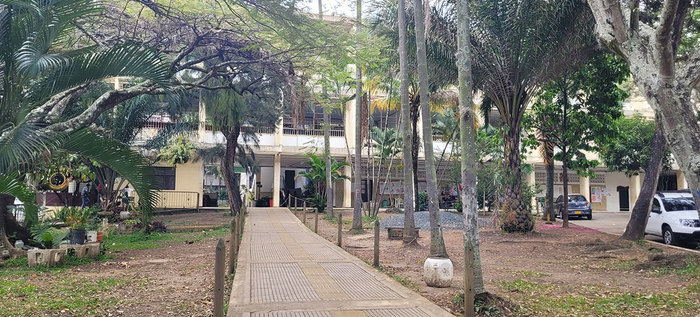 Para 2023, zonas verdes de Escuela Normal Superior Farallones de Cali se proyectan como bosque urbano