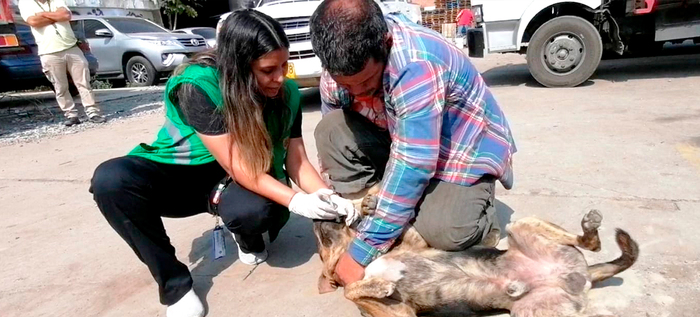 Dagma y Polic&iacute;a ambiental verifican acatamiento de mandatos de protecci&oacute;n animal