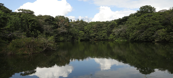 Dagma rechaza actos contra el ecosistema en ecoparque Las Garzas