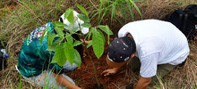 Un bosque sembrado por y para el futuro de Cali