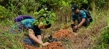 Un bosque sembrado por y para el futuro de Cali