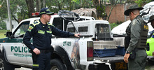 Centro de Bienestar Animal tendr&aacute; inspecci&oacute;n de Polic&iacute;a para casos de maltrato
