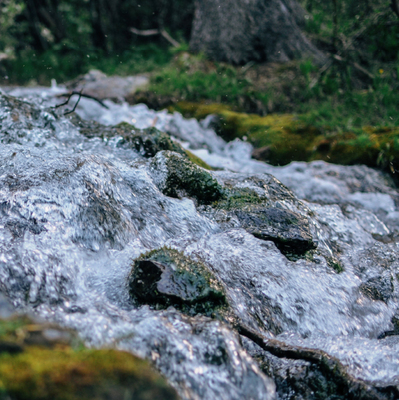 Nuestra agua, nuestras cuencas