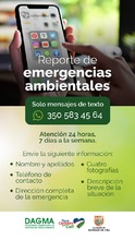 Dagma alerta sobre talas ilegales en Cali