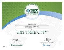 Cali es distinguida como una de las &lsquo;Ciudades &Aacute;rbol del Mundo&rsquo;