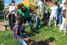 Cali es distinguida como una de las &lsquo;Ciudades &Aacute;rbol del Mundo&rsquo;