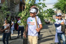 Cali es distinguida como una de las &lsquo;Ciudades &Aacute;rbol del Mundo&rsquo;