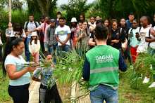 Cali es distinguida como una de las &lsquo;Ciudades &Aacute;rbol del Mundo&rsquo;