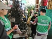 Dagma inicia operativos contra el tr&aacute;fico de fauna y flora silvestre