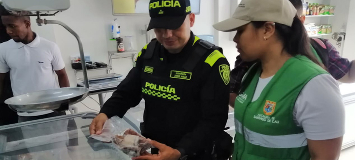 Dagma inicia operativos contra el tr&aacute;fico de fauna y flora silvestre