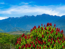 Farallones de Cali