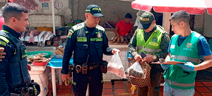 Reconozca las especies de fauna silvestre m&aacute;s amenazadas en Semana Santa