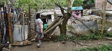 Centro de Bienestar Animal atiende a caninos y felinos que quedaron desamparados en Montebello
