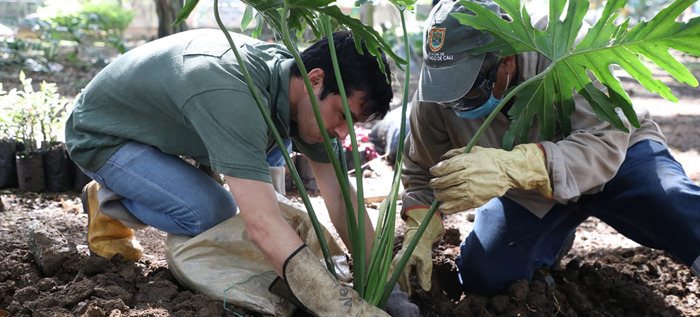 Administraci&oacute;n cale&ntilde;a transforma el cuidado y embellecimiento de los espacios p&uacute;blicos