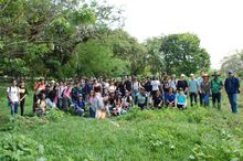 Con 120 especies plantadas se celebr&oacute; el D&iacute;a del &Aacute;rbol, en el Coraz&oacute;n de Pance