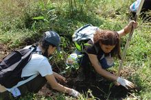 Con 120 especies plantadas se celebr&oacute; el D&iacute;a del &Aacute;rbol, en el Coraz&oacute;n de Pance