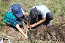 Con 120 especies plantadas se celebr&oacute; el D&iacute;a del &Aacute;rbol, en el Coraz&oacute;n de Pance