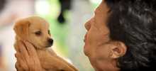 Una cita con el amor: cale&ntilde;os se sumaron a la gran jornada de adopci&oacute;n de animales del CBA