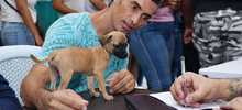 Una cita con el amor: cale&ntilde;os se sumaron a la gran jornada de adopci&oacute;n de animales del CBA