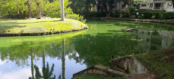 El agua es nuestra mejor aliada: &iexcl;cuid&eacute;mosla!