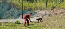 &ldquo;El CBA no es un espacio para abandonar animales&rdquo;: Unidad de Protecci&oacute;n Animal